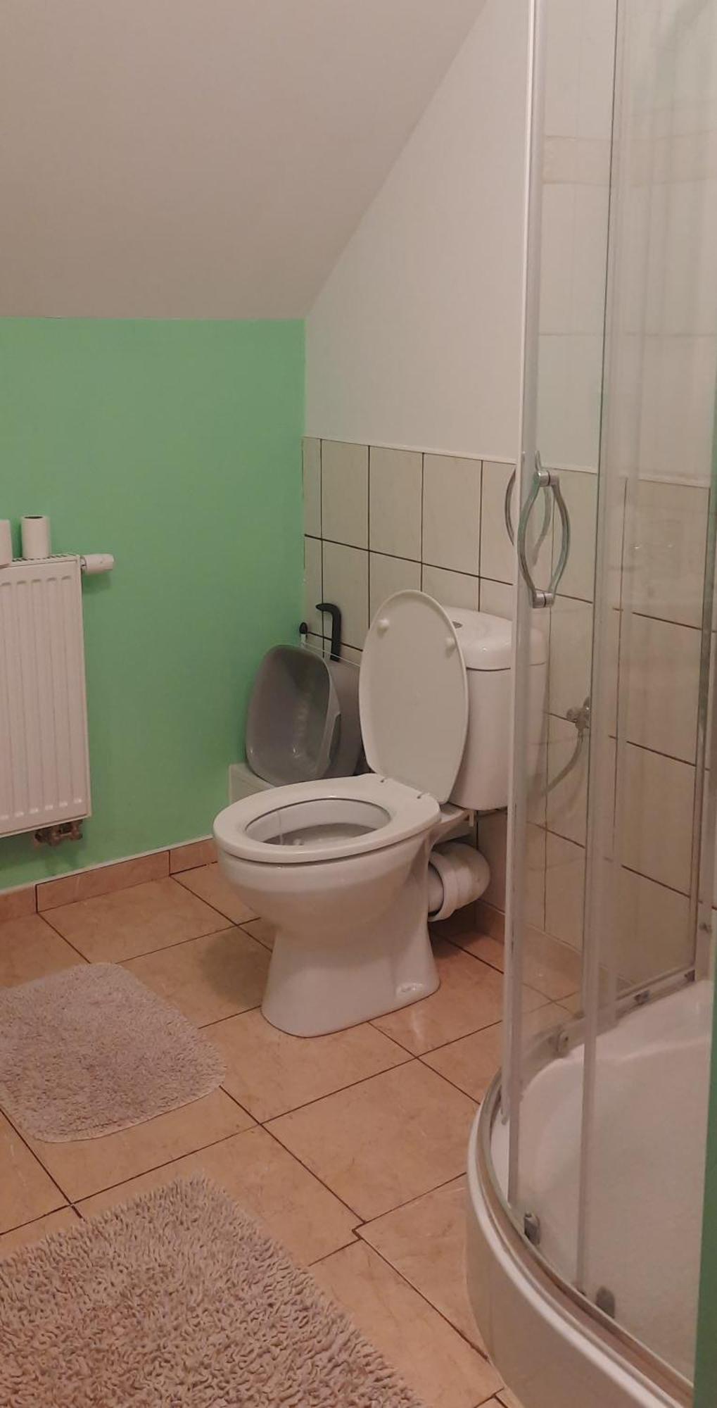 Dom Goscinny Sowia Stopka Miłomłyn 客房 照片
